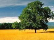 Самые красивые места Украины, которые стоит посетить (Фото)