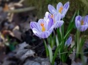 Погода на выходных порадует украинцев