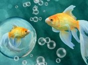 Что скрасит одиночество в британском отеле?