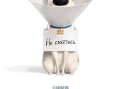 В украинский прокат выходит фильм "Секреты домашних животных 2"