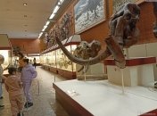 Краеведческий музей, экспонаты