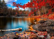 "У багрець і золото одягнені ліси"