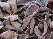 Прогноз погоды в Украине на 5 октября: заморозки ночью 