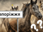 Лошади