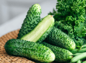 Коли треба збирати огірки