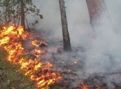 В одном из регионов Грузии снова возник лесной пожар