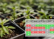 Посівний календар допоможе у плануванні повторної посадки деяких культур
