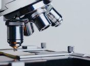 Новый шаг в борьбе со СПИДом: впервые уничтожен ВИЧ в целом геноме