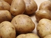 Древесная зола - отличная подкормка для картошки