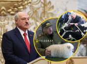 Лукашенко имеет не только домашних любимцев, но и целую ферму разных животных