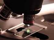 Прямо, как настоящая кожа: ученые создали новую искусственную плоть