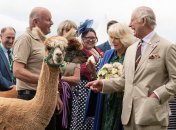 Король Чарльз III и его супруга Камилла посетили уэльский городок Брекон