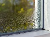 Благодаря кошачьему туалету можно устранить избыточную влажность в доме