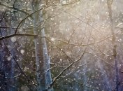 Наука vs искусство. "Снег" в астрономической обсерватории