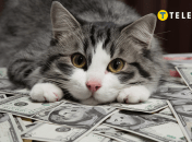 Пощастить лише трьом знакам Зодіаку