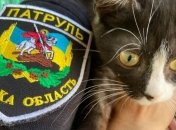 В полиции рассказали, как бороться против жестокого обращения с животными