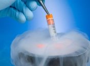 Ученые научились замораживать отдельные части тела и органы