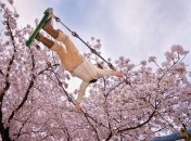 Приметы весны для детей