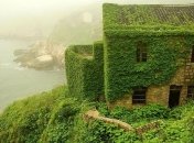 Фантастическое зрелище: растения поглотили эту рыбацкую деревню (Фото)