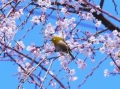 Погода в Україні