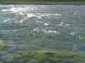 В Николаеве мужчина утонул, купаясь с внуком