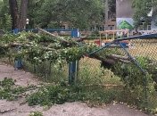 Юг Одесской области засыпало градом величиной с яйцо: фото