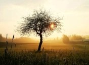 Василий Теплый 4 апреля: народные приметы и запреты