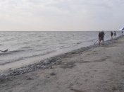 Нашествие медуз на пляжи Азовского моря: что сейчас происходит на украинских курортах (фото, видео) 