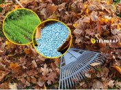 Осенью огород нуждается в подкормке