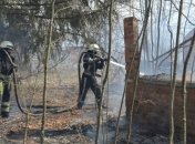 На Житомирщине и Киевщине продолжается ликвидация лесных пожаров (Фото и видео)