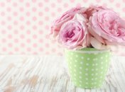 3 августа. Приметы дня