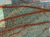 Астрономы обнаружили активную тектонику плит вне Земли  