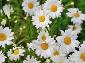 Какой праздник 26 мая: народные приметы и запреты