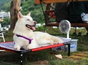 Жара до 32°, местами грозы: прогноз погоды на 15-16 августа