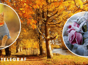 Погода осенью