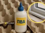 Утеплити дім допоможуть лотки з-під яєць і клей