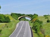 Замечательные экодуки, ежегодно спасающие жизни диких животных (Фото)