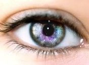 Получены клетки сетчатки из стволовых клеток