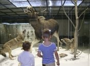 Нескучные детские музеи