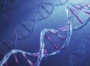 В Японии разрешили генную модификацию эмбрионов