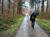 Дожди начинают отступать