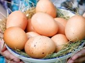 Универсальное средство против любых недугов 