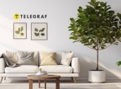 Фикус имеет особое значение для тех, кто стремится к успеху