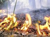 Украинцев предупреждают о чрезвычайной пожарной опасности