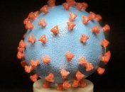 Другий випадок коронавірусу зафіксували в Білорусі