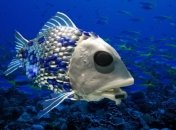 Ученые сделали внезапное открытие о рыбах