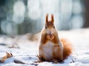 Потеплеет до +9: синоптики порадовали прогнозом погоды до конца недели