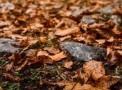 Праздник 22 октября: народные приметы и запреты