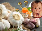 Желтые зубчики чеснока – это нормально