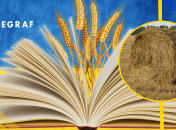 Украинцы все чаще пользуются этим словом